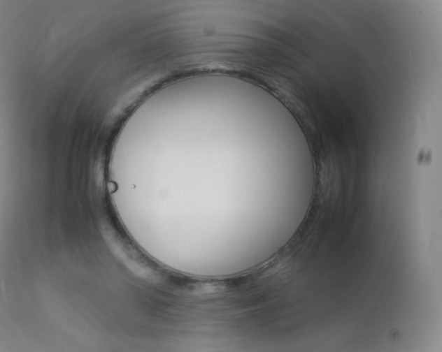 X0000113210398200909100952