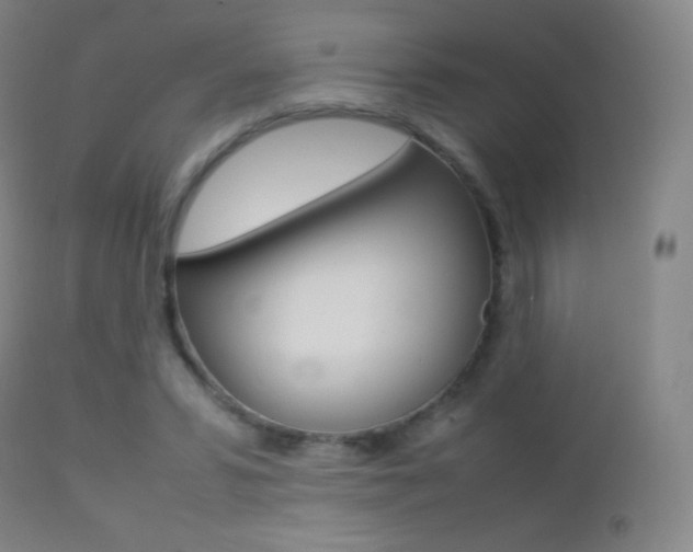 X0000113210399200909100952