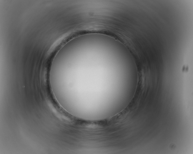 X0000113210400200909100952
