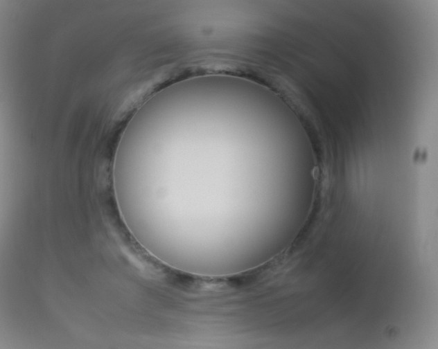 X0000113210401200909100952