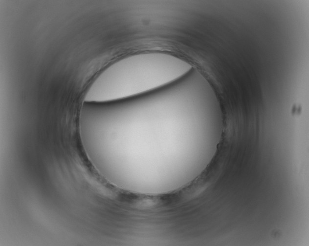 X0000113210402200909100952