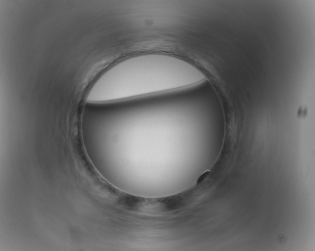 X0000113210403200909100952