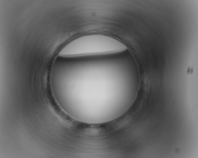 X0000113210404200909100952