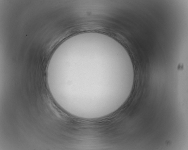 X0000113210405200909100952