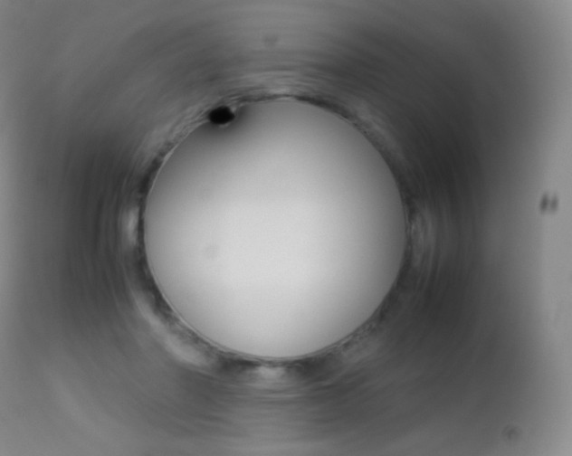 X0000113210406200909100952