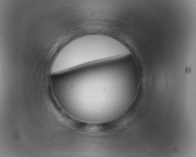 X0000113210407200909100952