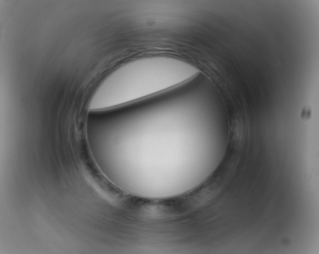 X0000113210408200909100952