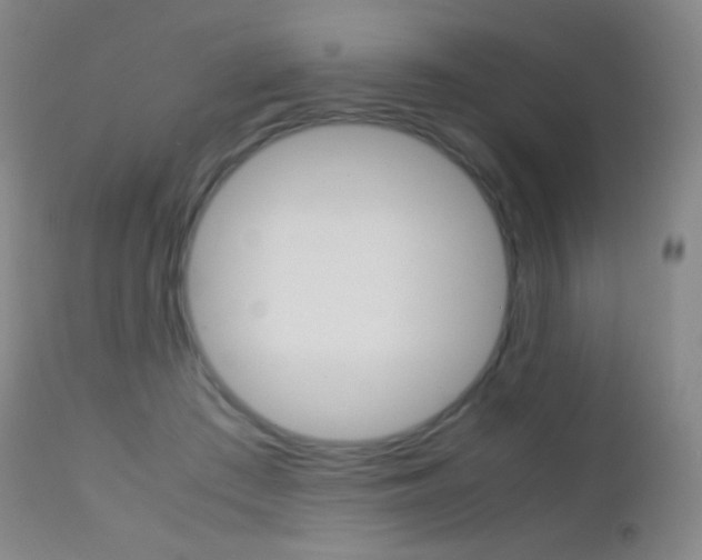 X0000113210409200909100952