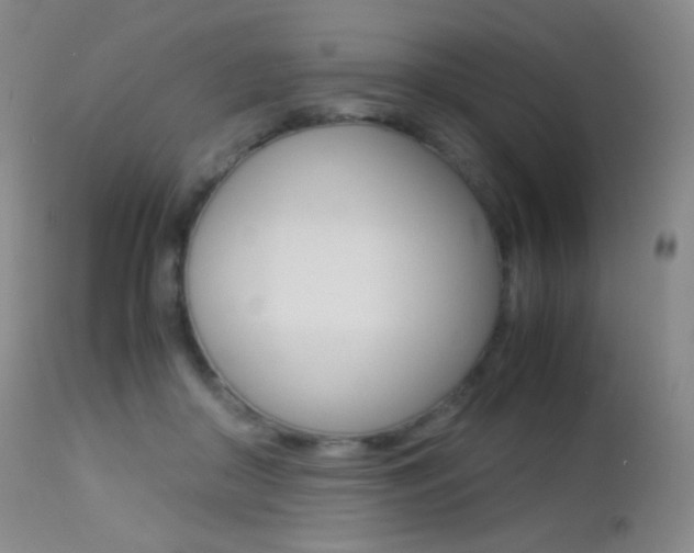 X0000113210410200909100952