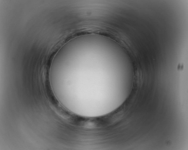 X0000113210412200909100952