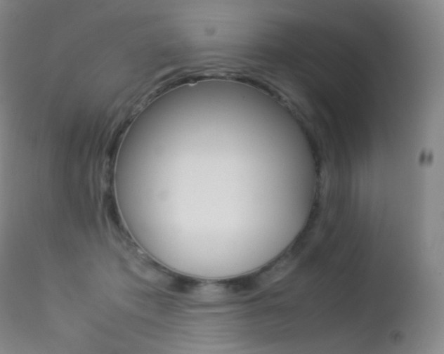 X0000113210413200909100952