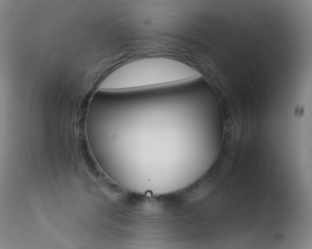 X0000113210416200909100952