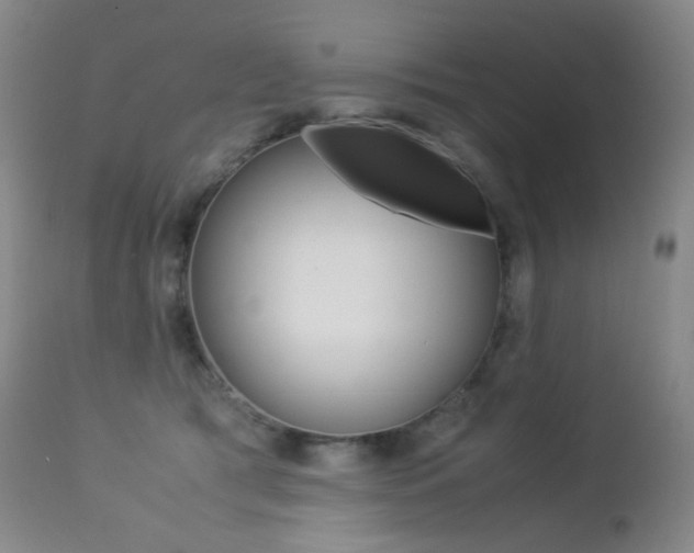 X0000113210417200909100952