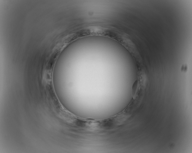 X0000113210419200909100952
