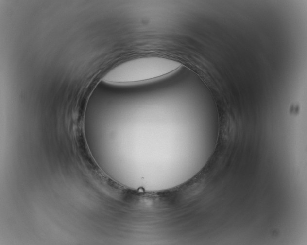 X0000113210420200909100951