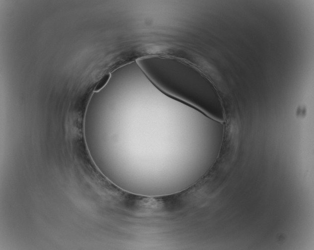 X0000113210421200909100951