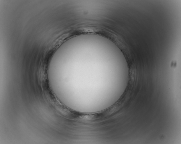 X0000113210422200909100951