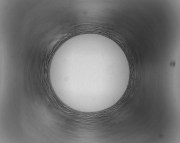X0000113210423200909100951