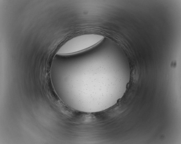 X0000113210424200909100951