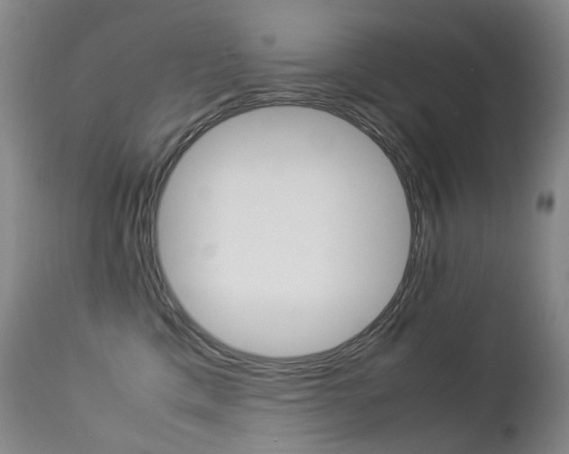 X0000113210425200909100951