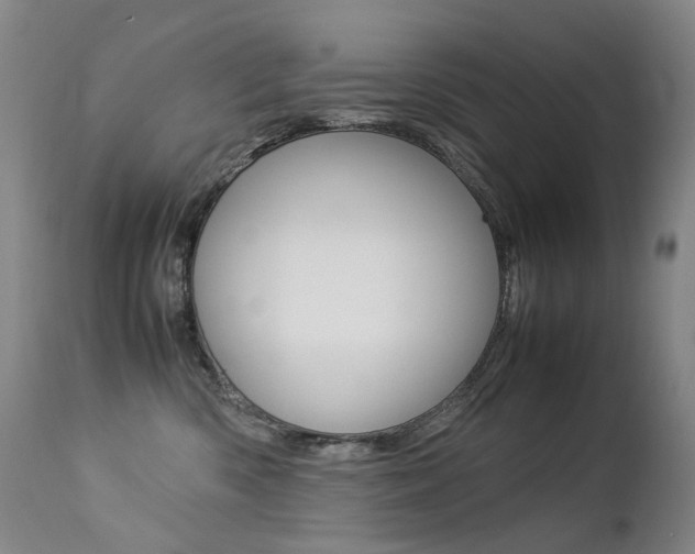 X0000113210426200909100951