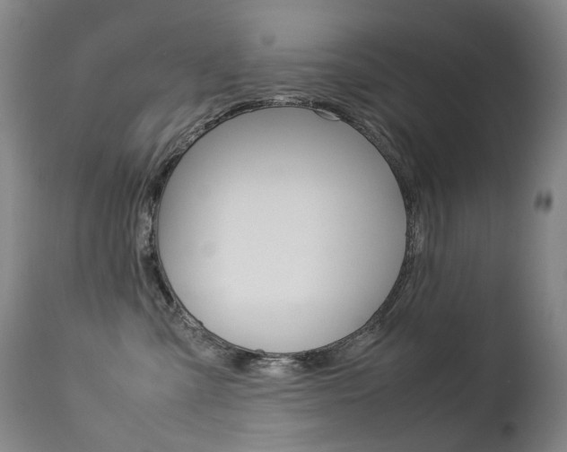X0000113210427200909100951