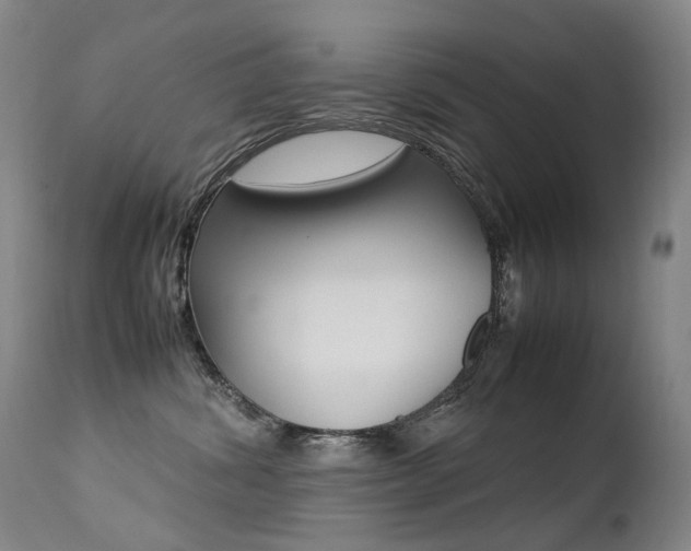 X0000113210428200909100951