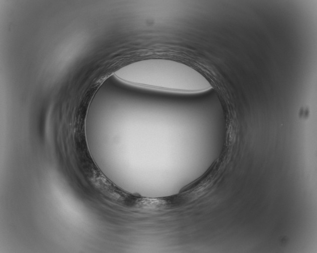 X0000113210429200909100951
