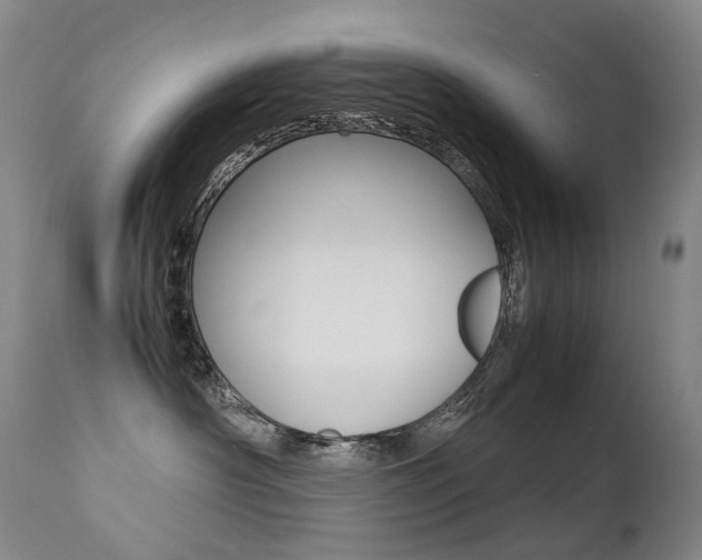 X0000113210430200909100951