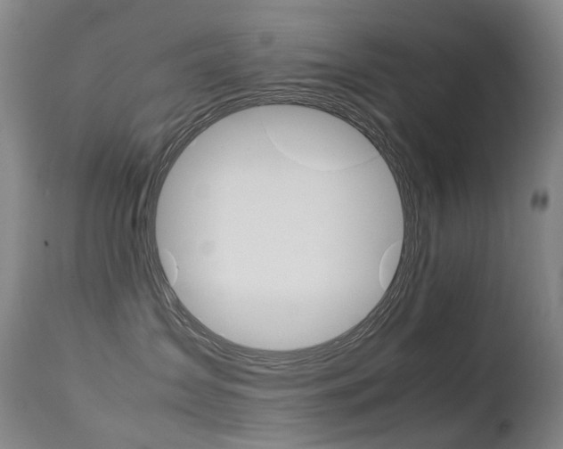X0000113210431200909100951