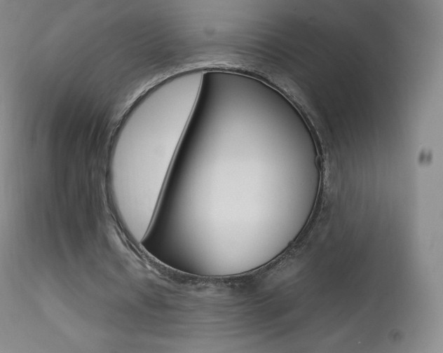 X0000113210434200909100950