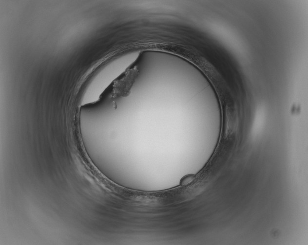X0000113210435200909100950