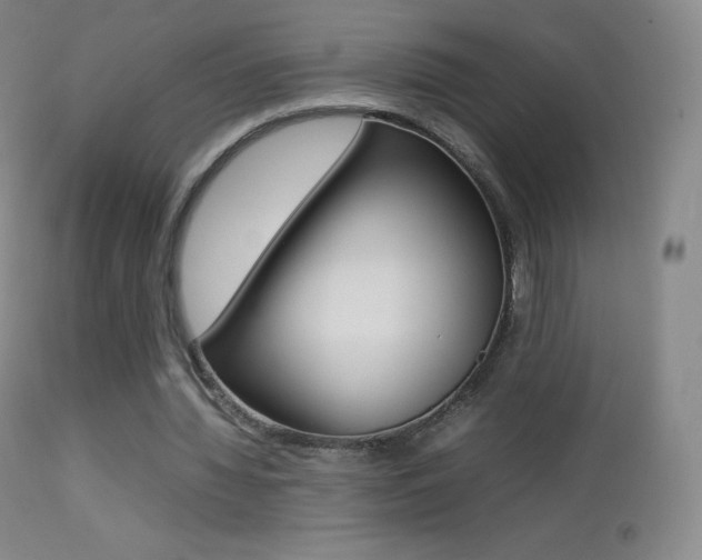 X0000113210436200909100950