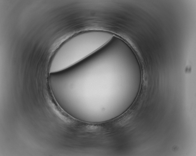 X0000113210437200909100950