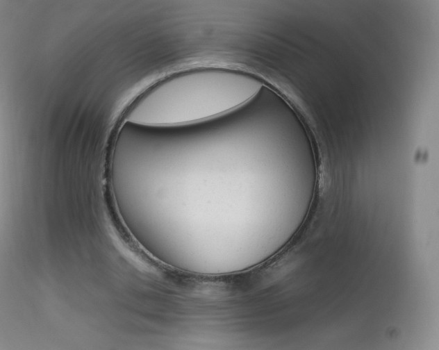 X0000113210438200909100950