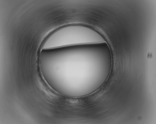 X0000113210439200909100950