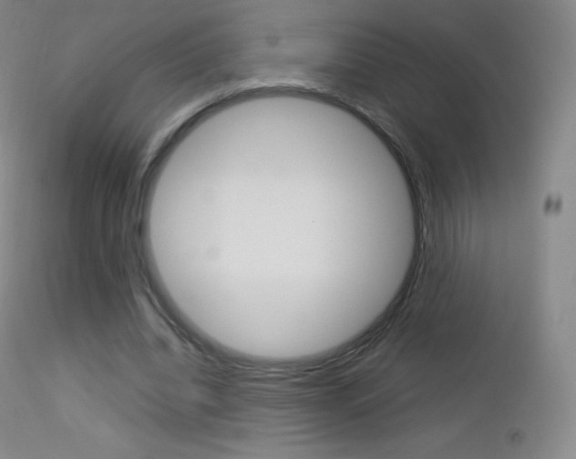 X0000113210440200909100950