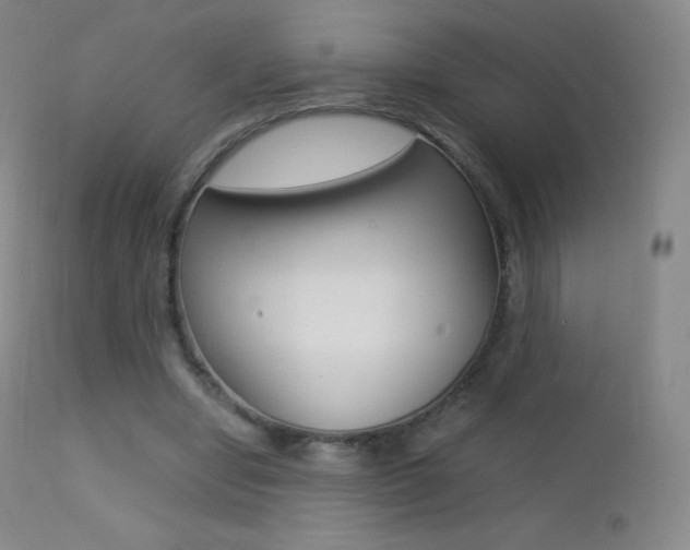 X0000113210442200909100950
