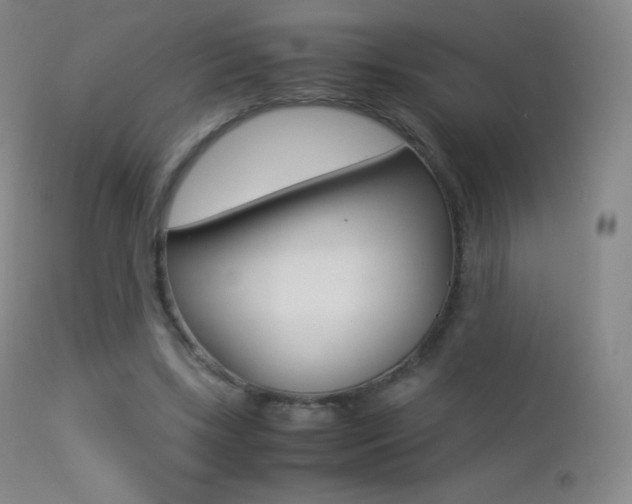 X0000113210443200909100950