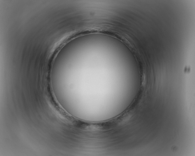 X0000113210444200909100950