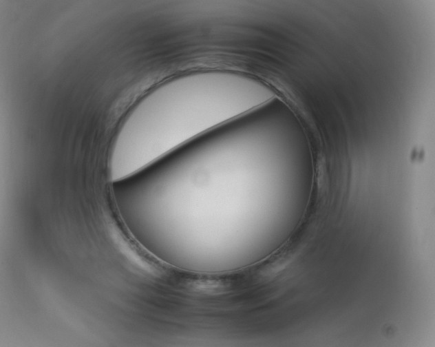 X0000113210445200909100950