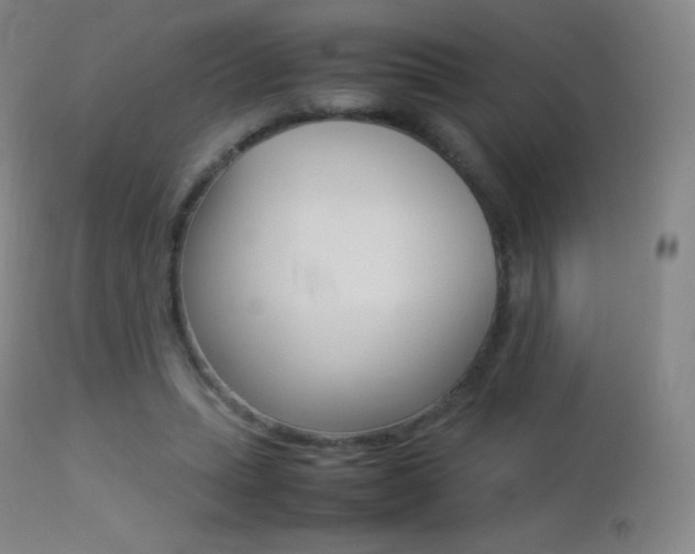 X0000113210447200909100951