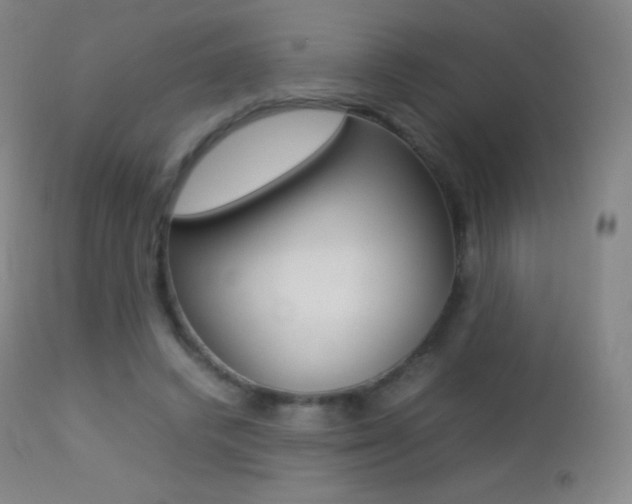 X0000113210448200909100951