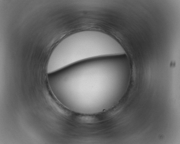 X0000113210449200909100951