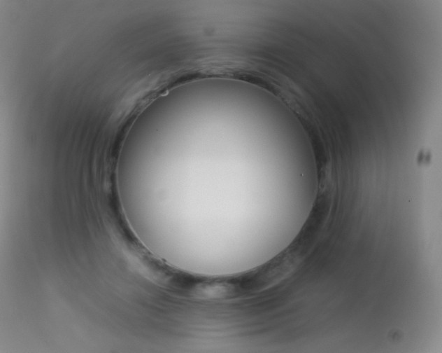 X0000113210452200909100951