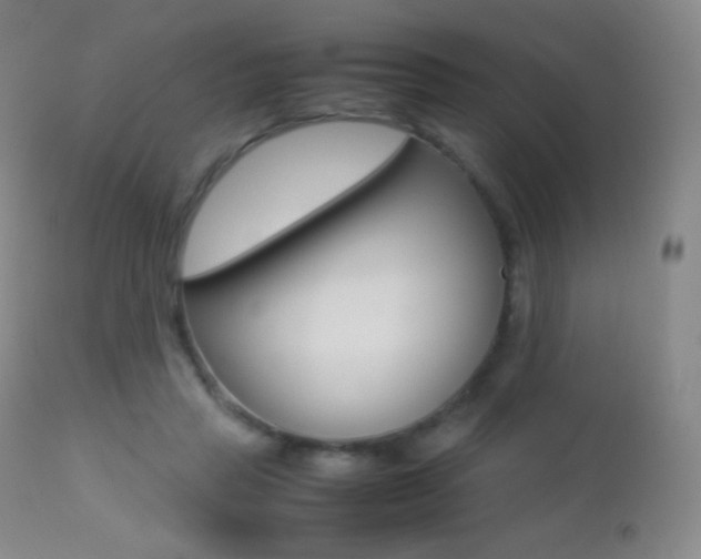 X0000113210453200909100951