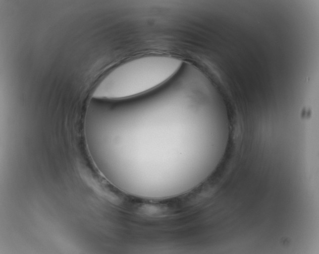 X0000113210455200909100951