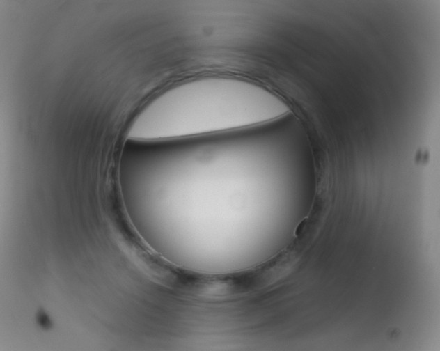 X0000113210456200909100951