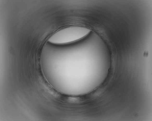 X0000113210457200909100951