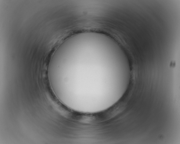 X0000113210458200909100951